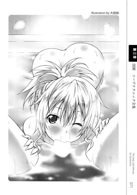 Illustrated Manual of Sex Industry for Beginners With Detailed Explanations of Soaplands