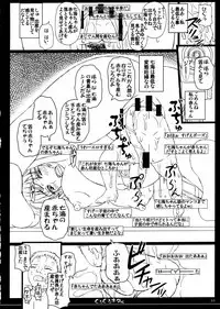 (C84) [Shiawase Kyouwakoku (Shiawase no Katachi)] Shiawase no Katachi no Guruguru Netachou 84