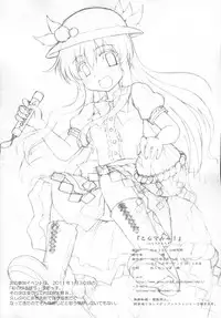 (C79) [Newtype Kenkyuujo (Kotowari)] Toramaru 4! (Touhou Project)