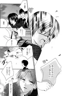 Inuyasha - Procellarum Ocean