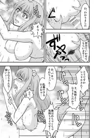 [Complete Box (Ayakawa Hisashi)] Sheryl-san niwa Mukanai Shokugyou - An Unsuitable Job for Sheryl (Macross Frontier) [Digital]