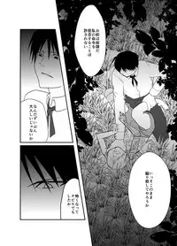 [Kyoka Suigetsu] Rh - no Koi 1 (Fullmetal Alchemist)