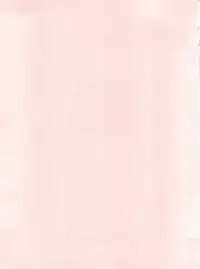 (C47) [Pink Macadamian (Various)] PINK MACADAMIAN Vol. 2 (Various)