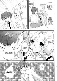 (C76) [Kurimomo (Tsukako)] Nekomimi Juliet (Code Geass: Lelouch of the Rebellion) [English] [CGRascal]