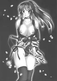 (C70) [Hanamaru Mugen Gym (Hyoujun Mai)] Sakura Chiru (Dead or Alive)