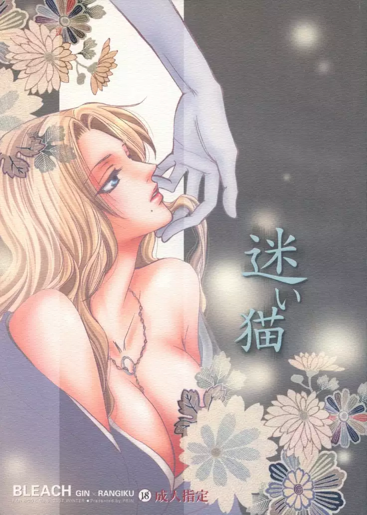 Mayoi Neko | Stray cat