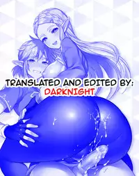 (C93) [Morittokoke (Morikoke)] Hyrule Hanei no Tame no Katsudou! | Activities for the Sake of Hyrule’s Future! (The Legend of Zelda) [English] {darknight}