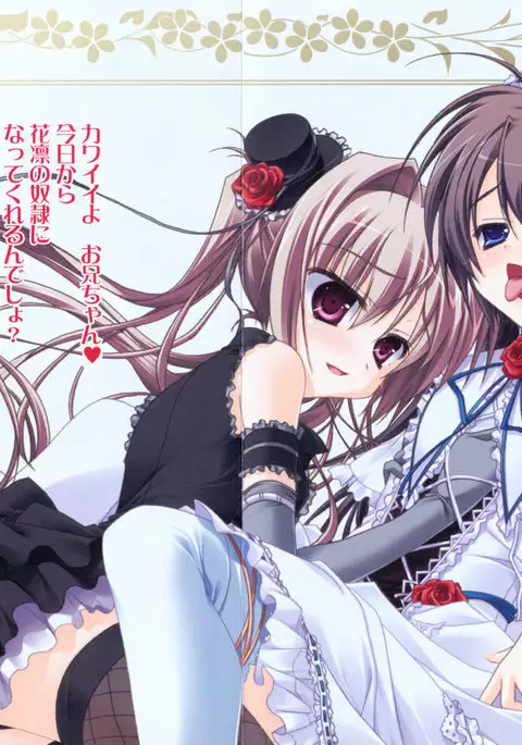 Boku wa Imouto-sama ni wa Sakaraenai