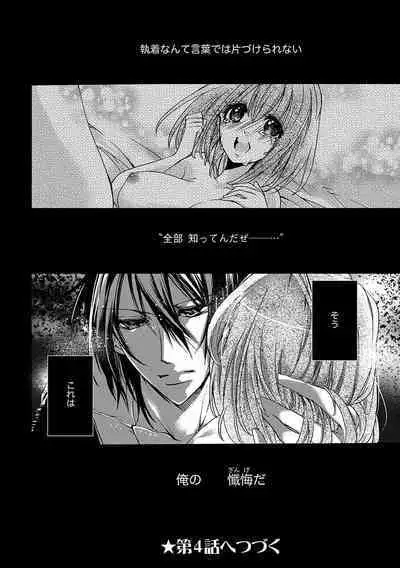 鬼畜兄弟の悶絶調教～私はいいなり奴隷～