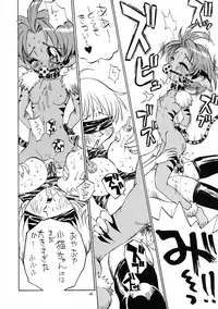 (C50) [DEROLIAN (Shark Yaminabe)] Tenkuu no Escaflowne (The Vision of Escaflowne)