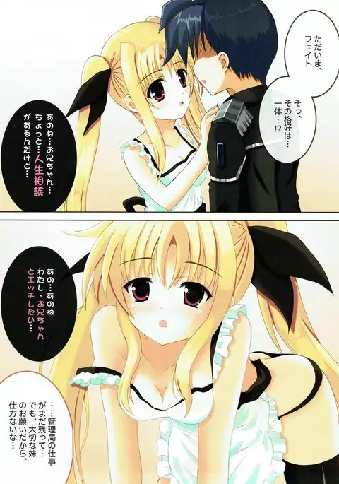 Fate-chan to Issho ni