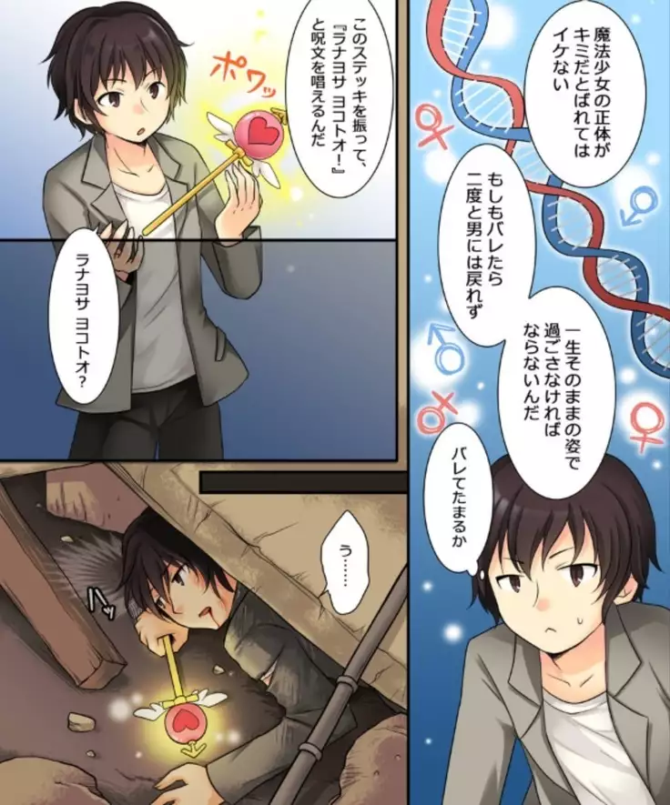 Okashi Assorted Packs - Unscented Taste