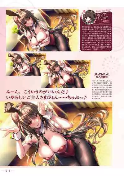 Amakano 2+ Visual Fan Book