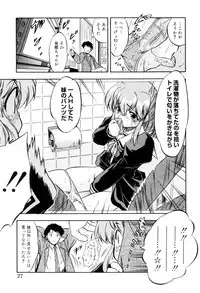 [Tomozawa Shou] Mitsuiro no Kokuin