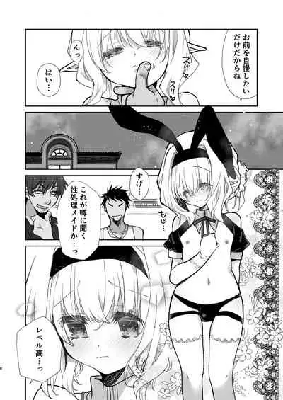 Honey Doll ウチのメイドの男の娘 2 ～バニーガール♂で客接待編～