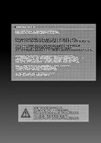 [Neko Saffron (inoino)] FallenBeatAngel & FallenBeatZwei (Beat Angel Escalayer) [Digital]