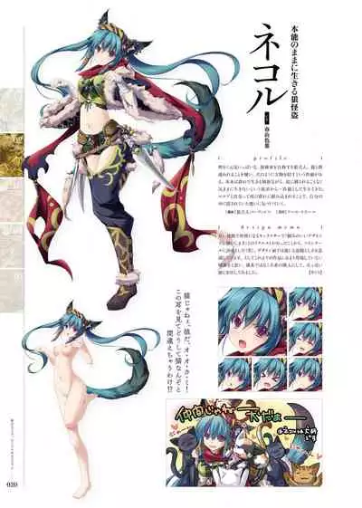 Kami No Rhapsody Perfect Guidebook