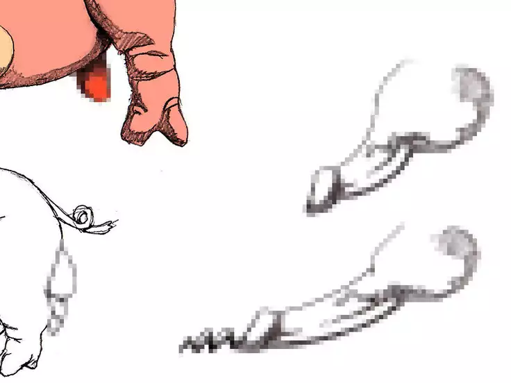 Orc no Yabou：設定資料「豚蟲」