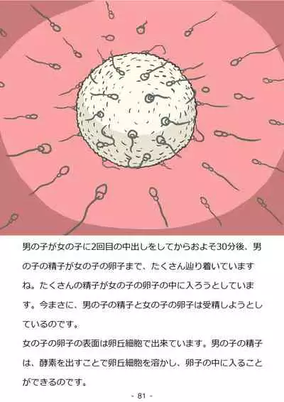 Shishunki no Otokonoko no Tame no Seikyouiku Doukyuusei no Onnanoko to Sex o Shite Aka-chan o Tsukuru Ohanashi