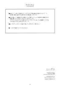 (SC56) [ANGYADOW (Shikei)] Rixia Ijiri 2 (The Legend of Heroes Ao no Kiseki)