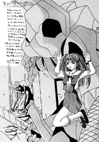 [Reds! (Various)] Foolish (Neon Genesis Evangelion)