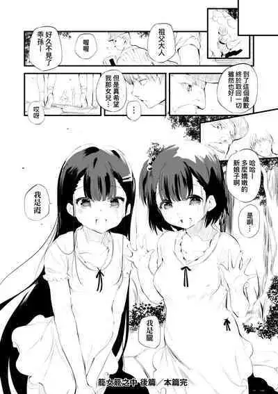 Shinme Tori - symmetry | 新芽摘取