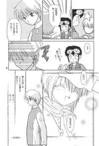 (C58) [SHEEPCLOUD (Hitsujiko)] Digital Syndrome (Digimon Adventure 02)