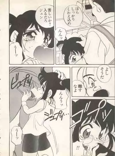 Shin Bishoujo Shoukougun 4 Houou hen