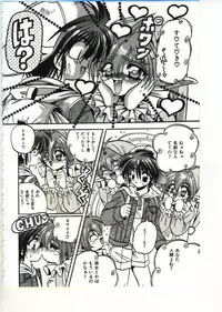 [Appleton] Fairy Paradise