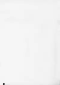 (COMIC1☆10) [Kemokomoya (Komori Kei)] PakoPako Chain Burst! (Granblue Fantasy)