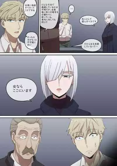 Daraku Mesu-tachi no Shoufu Nisshi