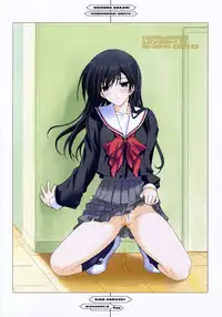 (C67) [Happy Paranoia, Shikkokuno J.P.S. (Wanashiro Giovanna, Hasumi Elan)] King Harvest (Various)