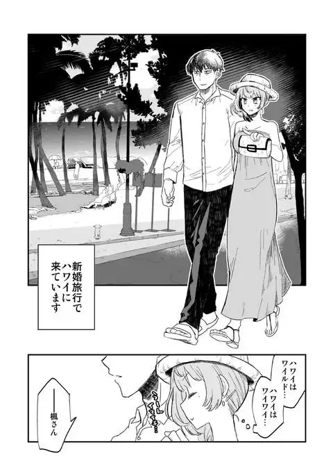 Takeuchi P to Kaede-san ga Shinkonryokou de Kozukuri Kaikin H o Suru Hon