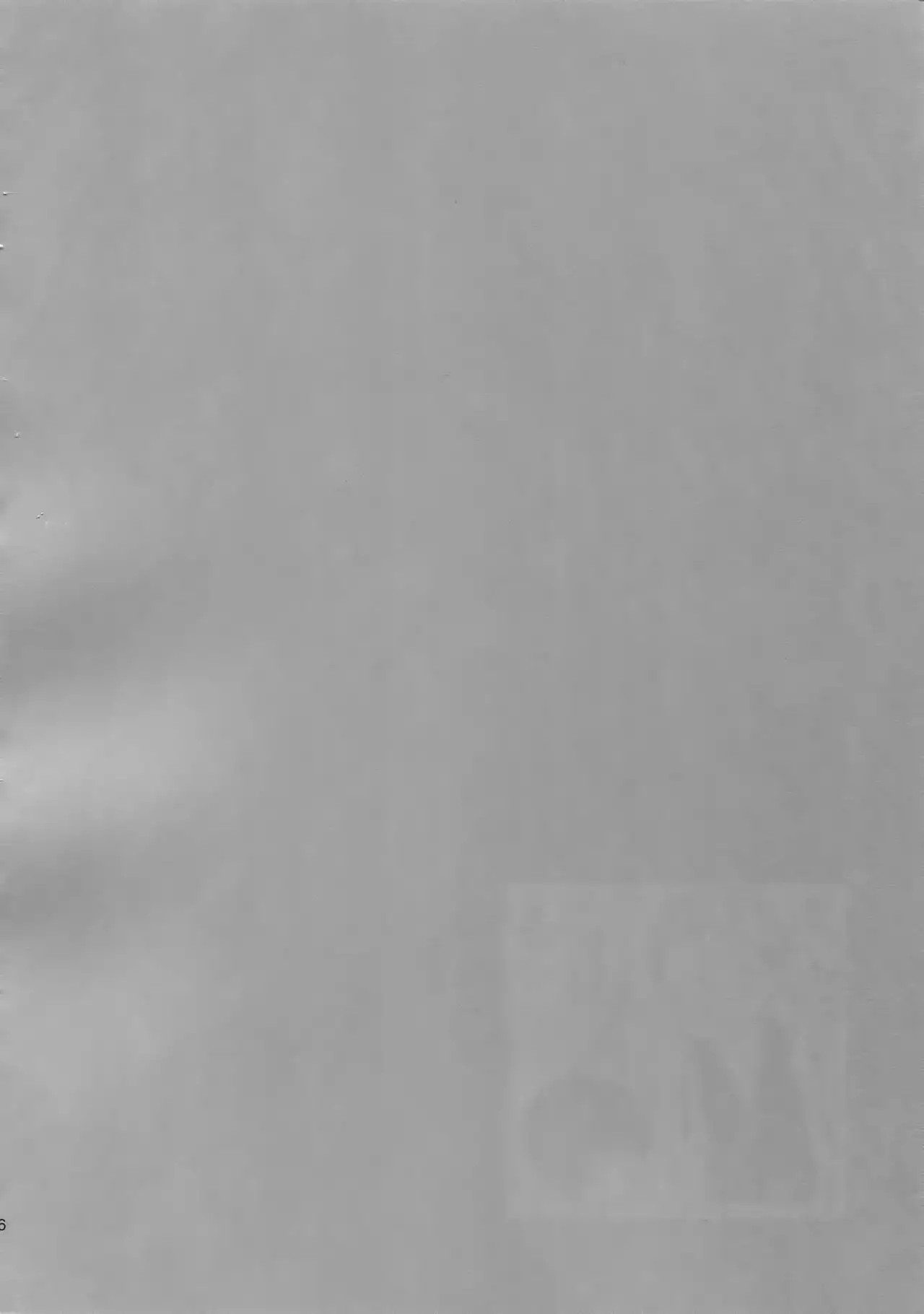 The Beautiful Tinker Bell 7