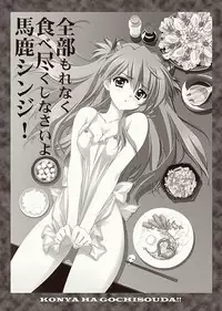 (C76) [CARNELIAN] Zenbu Morenaku Tabetsukushinasaiyo Baka Shinji (Neon Genesis Evangelion)