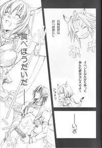 (C74) [Akai Tsubasa (Tachibana Chata)] LOVE FOOL 02 (Final Fantasy XI)