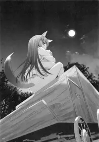 (C79) [Digital Lover (Nakajima Yuka)] DL-etc Soushuuhen (Various)