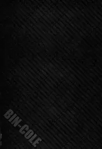 [Miyazaki Maya] BinColle - Binkan Collection