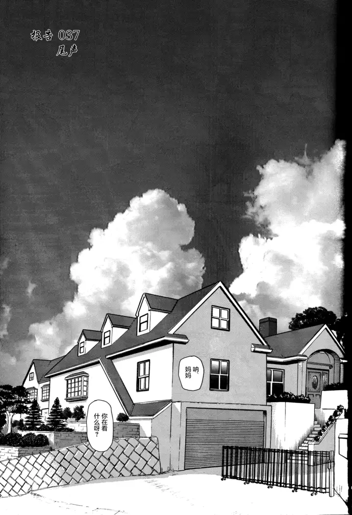 Dulce Report 14 | 达西报告 14