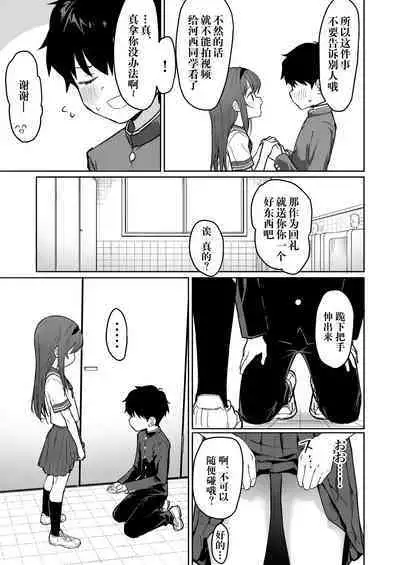 Suki na Ko ni Kokuhaku Shitara Hamedori Douga ga Okurarete Kita Hanashi