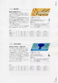 [Various] Moldavite Visual Fanbook