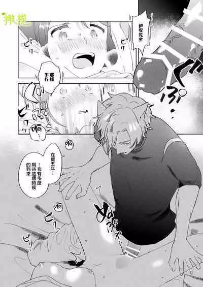 sai syoukan sa re ta moto seizyo ha goei kisi ni tora wareru|再次召唤的前圣女被护卫骑士囚禁