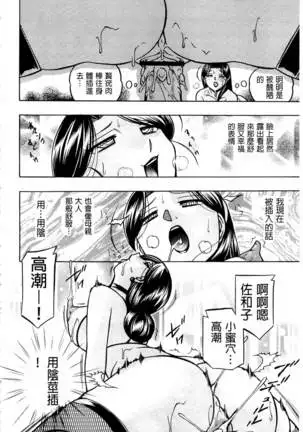 Reijou Maiko ~Kyuuke no Hien~