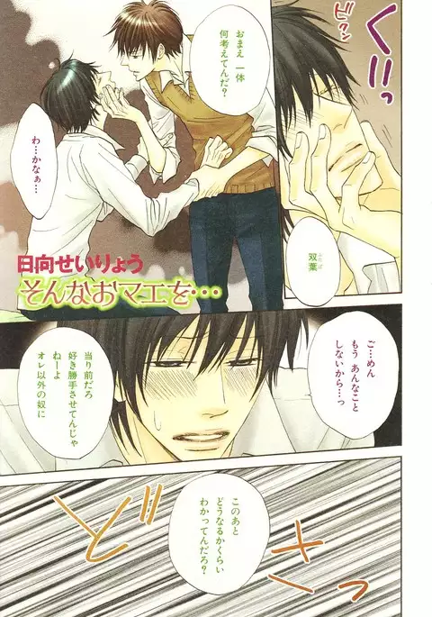 b-BOY Phoenix Vol.14 Kichiku Tokushuu