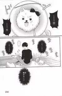 (SPARK10) [*MYM* (Asakura)] Wan Love! (Shingeki no Kyojin)