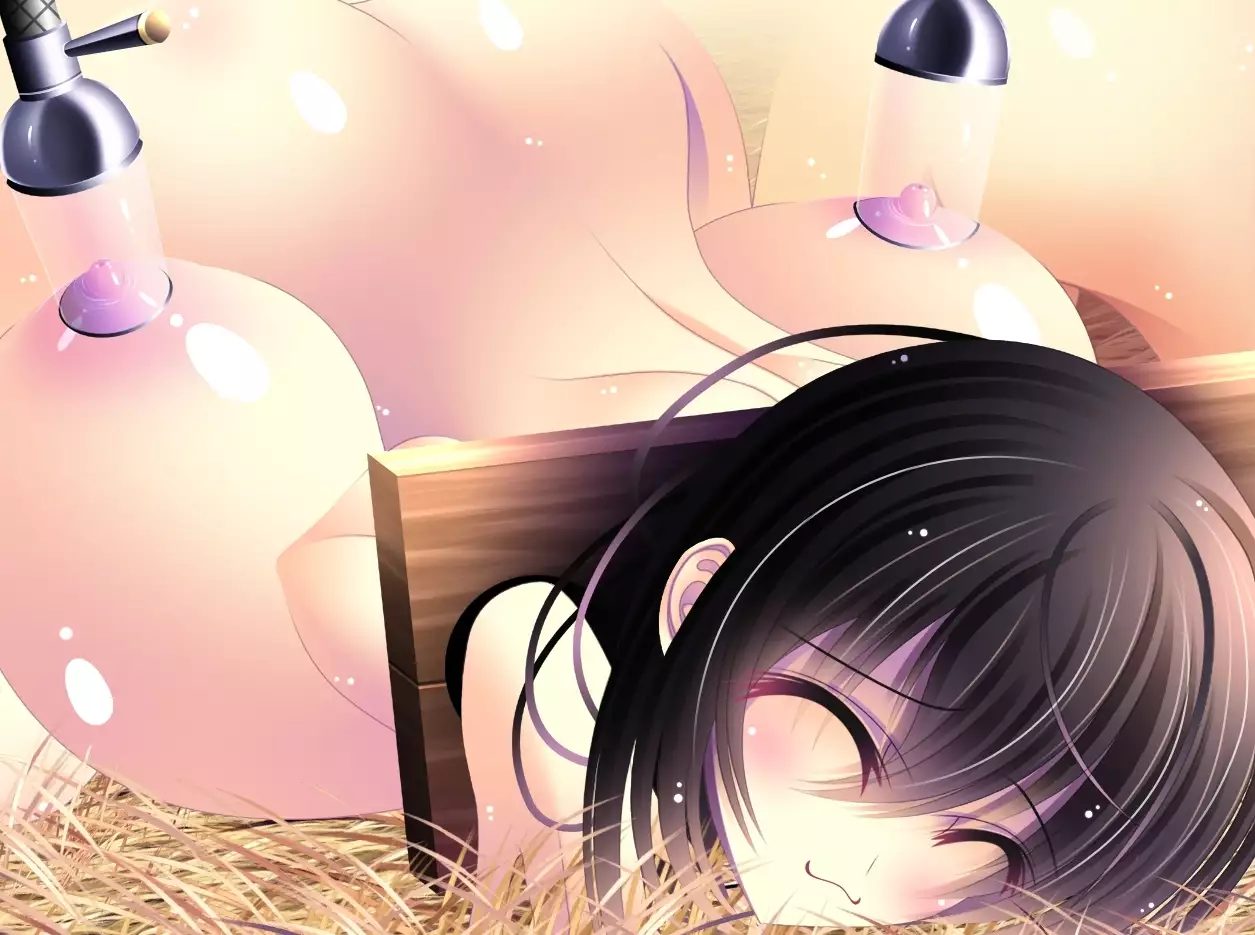 yabure, bakunyu chochichi naedoko ni, benki ni Daraku To sa reru hiroin!~ Hime ○ setsuna ~