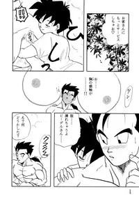 (C49) [Chirigami Goya, Fusuma Goten (Shouji Haruzo)] Z (Dragon Ball Z)