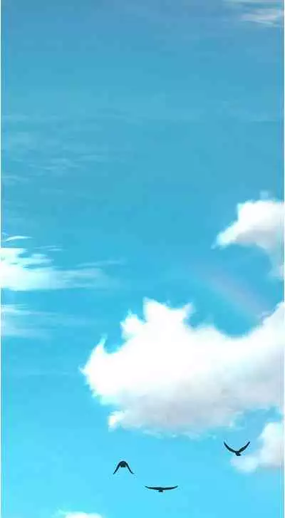 [MAD & 洋洋 & 金文圖] 劍道學姊 1-26 官方中文（連載中）