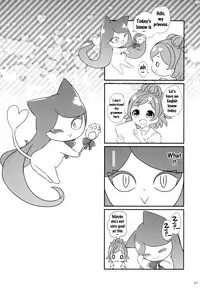 (C88) [Yamada Ichizoku. (Fukurokouji, Mokyu)] Seidorei Senki (Go! Princess PreCure) [English] {doujins.com}