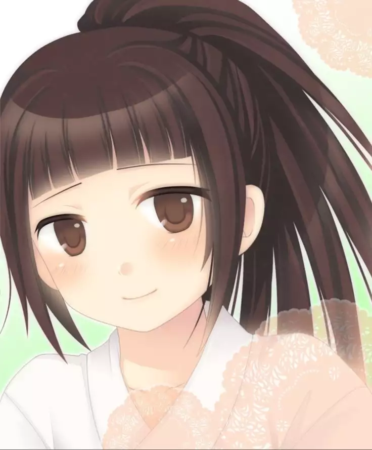 Okashi Assorted Packs - Unscented Taste